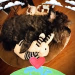 Frances Logan - @frances.logan.5 - Instagram