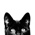 Clair Frances Lomas - @kevin_the_black_cat - Instagram