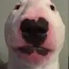 maryfrancesluke - @maryfrances76 - TikTok