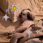 Frances Lusk - @flusk42 - Instagram