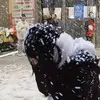 あんな美和🍓 - @mabel_frances0 - TikTok