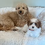 Mabel Ruth + Frances Bea - @mabelandfrances - Instagram