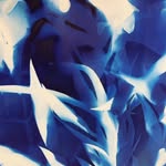 Frances Magee - @francesmageeart - Instagram