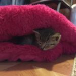 Frances Main - @fran32398 - Instagram