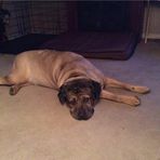 Frances Maness - Facebook