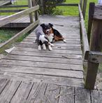 Frances Maness - Facebook