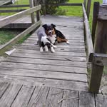 Frances Maness - @francesmaness3 - Instagram