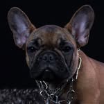 Marcus el francés - @marcus_el_frances - Instagram