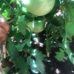 Frances mark - @francesmark836 - Instagram