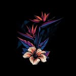 Frances Mark - @francesmark123 - Instagram