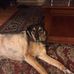 Frances Martens - Facebook