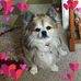 Frances Martindale - Facebook