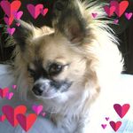 Frances Martindale - @frances.martindale.9 - Instagram
