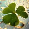 Frances Matthews - @frances.matthews7 - TikTok