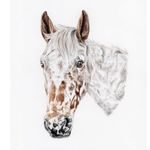 Frances May | Artist - @francesmayartt - Instagram