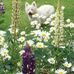 Frances Mayse - Facebook