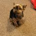 Frances McCarty - Facebook