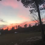 Frances Mccray - Facebook