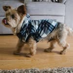 Frances McGregor - @francesmcgregor6 - Instagram