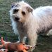 Frances McHugh - Facebook