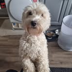 Frances Mckeever - Facebook