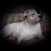 Frances Mcleod - Facebook