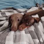 Frances Truslow McNally - @_francesmcnally_ - Instagram
