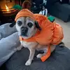 Frances Mcnally - @frances.mcnally1 - TikTok