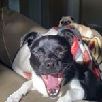 Frances McNulty - @wenpenmom - Instagram