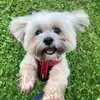 francesmcpeake - @francesmcpeake - TikTok