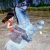 star stable - @francescamcpeak - TikTok