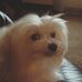 Frances Mead - Facebook