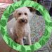 Frances Metcalf - Facebook