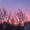 francesfromthemoon - @francesfromthemoon - TikTok
