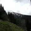 francescomoser46 - @francescomoser46 - TikTok