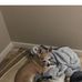 Francis Mott - Facebook