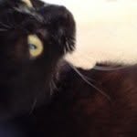 Frances Neilson - @francesm.neilson - Instagram