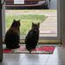 Frances Newcomb - Facebook