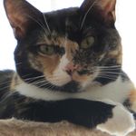 Frances Newcomb - @francesnewcomb - Instagram