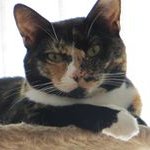 Frances Newcomb - @newcombfrances - Instagram
