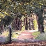 Frances Newcombe - @newcombefrances - Instagram
