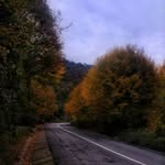 Frances Nicholson - @francesnicholson703 - Instagram