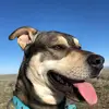 Francis Nicholson - @user3129120901 - TikTok