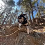 Frances Nickerson - @blackieboston - Instagram