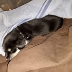 Frances Nickerson - Facebook