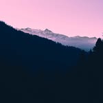 Frances North - @annoyednorth - Instagram