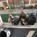 Frances Nutt - Facebook