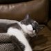 Frances Ogle - Facebook