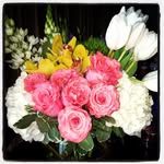 Frances Oliver - @frances_oliver_947430 - Instagram