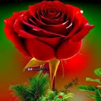 Francis Ogendo - Facebook